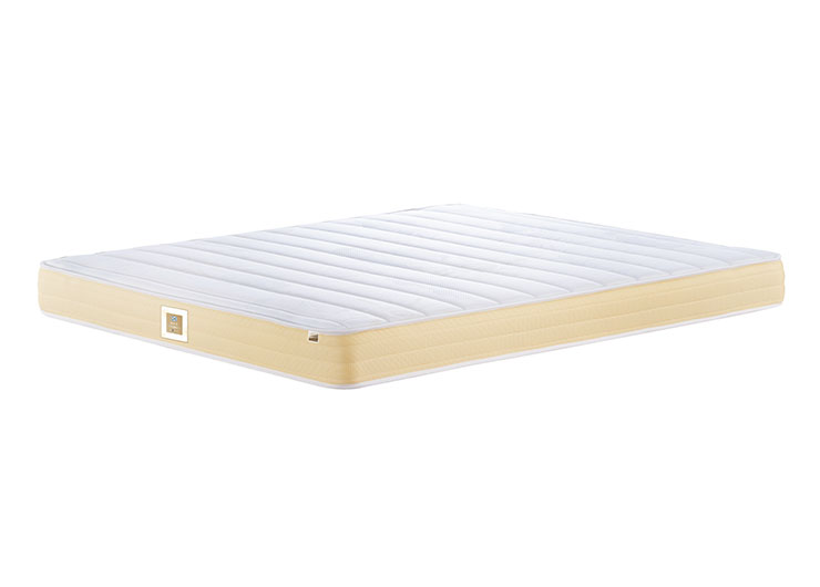 00_0002_esc_2379 拷贝 2